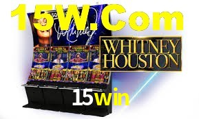 Premium Interface 15win
